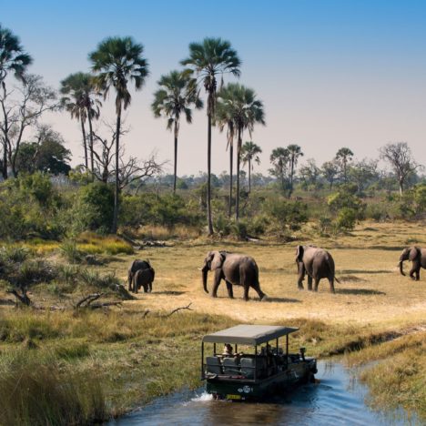 Visiting Liberia, Costa Rica? Here are some things you need to know!
